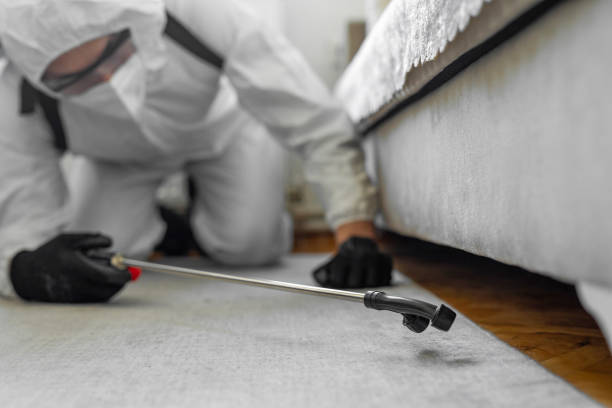 Professional Termite Control technician working in Troup, TX