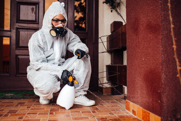 Reliable Termite Control contractor in Troup, TX by Nex Pest Control